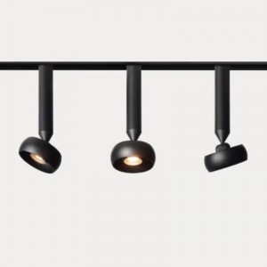 Magnetspur -Lichtmagnet